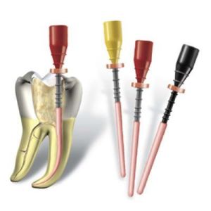 Protaper Universal Obturator F4, 20шт, Dentsply