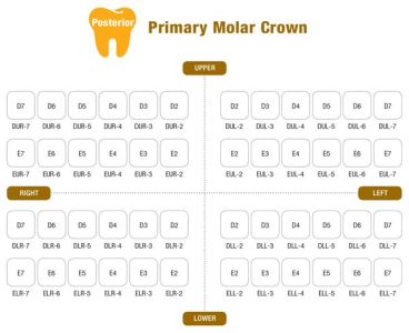 Коронки I CROWN Refill ELL-5 из нержавеющей стали детские (5 шт) Seil Global